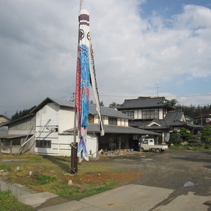 屋根より低い鯉のぼり